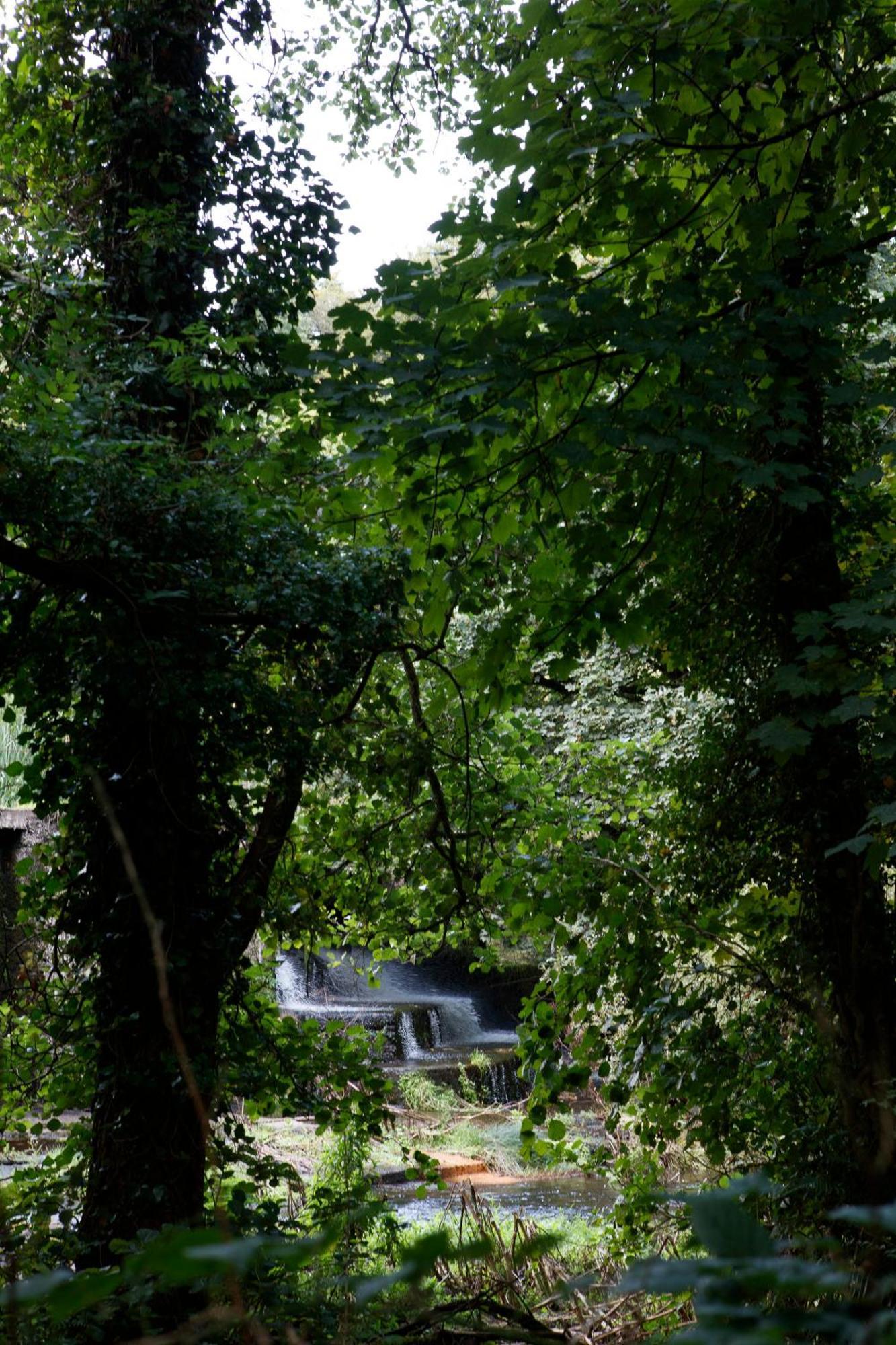 Dripsey Castle Estate Vila Cork Exterior foto
